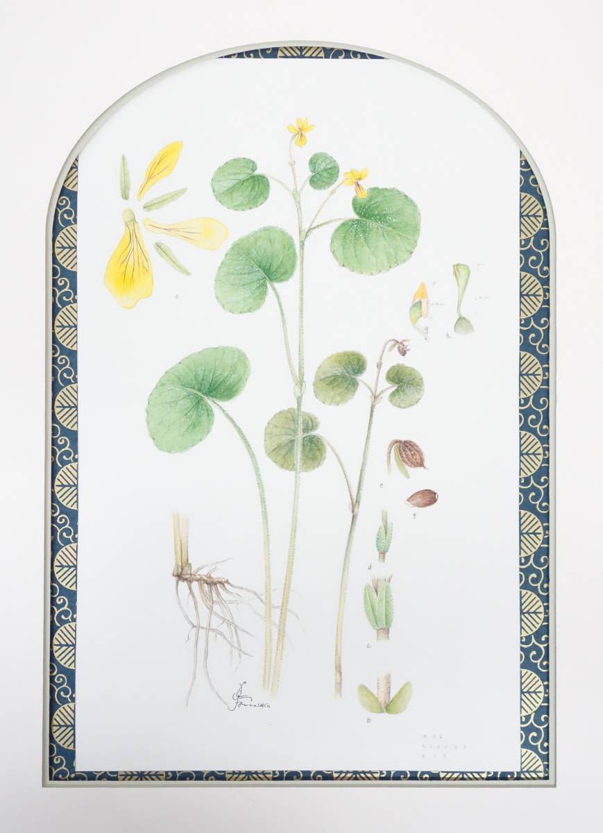 현대 미술 미술*식물 미술 식물 그림 필기 진위 보장*작품명: 비올라 오타카네(스이레 오타카네) *저자: 후나세코 요시에, 그림, 수채화, 자연, 풍경화