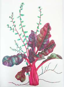 Art hand Auction 现代艺术 *植物学 植物艺术 植物艺术 手绘 保证为真迹 *标题不详 *艺术家 Yoshie Funaseko, 绘画, 水彩, 自然, 山水画