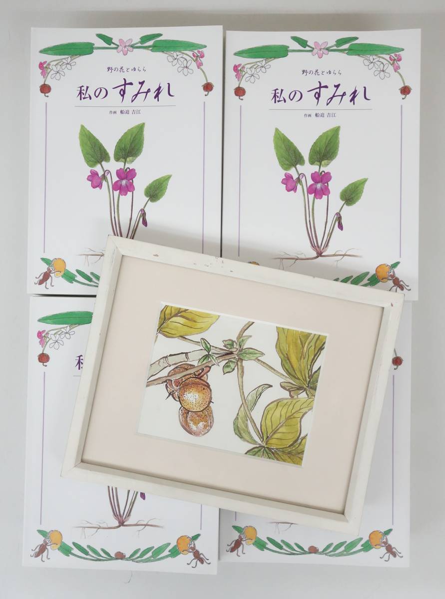 野の花とゆらら 私のすみれ*著者 船迫吉江 Yoshie Funaseko *お買い得まとめ 37冊*植物画 ボタニカルアート リアル リアリズム, 絵画, 画集, 作品集, 画集