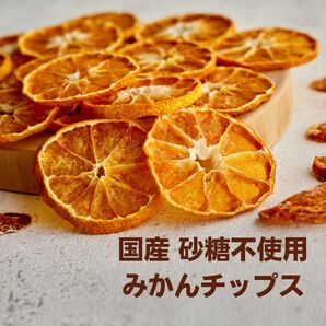 新品 国産 ドライフルーツ みかんチップス 200g 無添加 砂糖不使用 栄養 訳あり 送料無料 即日発送