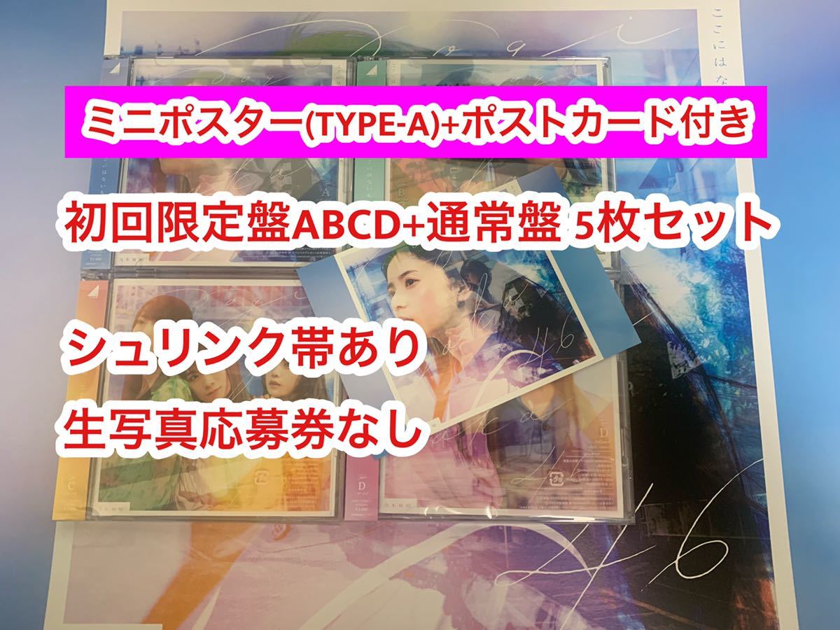 新着商品 乃木坂ポスター13枚セットサイン入り、無し ポスターファイル