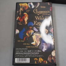 X/ヴィジュアル・ショック Vol.2.5　VHSビデオ X Japan VISUAL SHOCK - CELEBRATION - Week End , Endless Rain　hide yoshiki 現状品_画像7