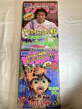 期間限定セール　週刊少年マガジン1994年発刊14・15号　2冊セット販売_画像1