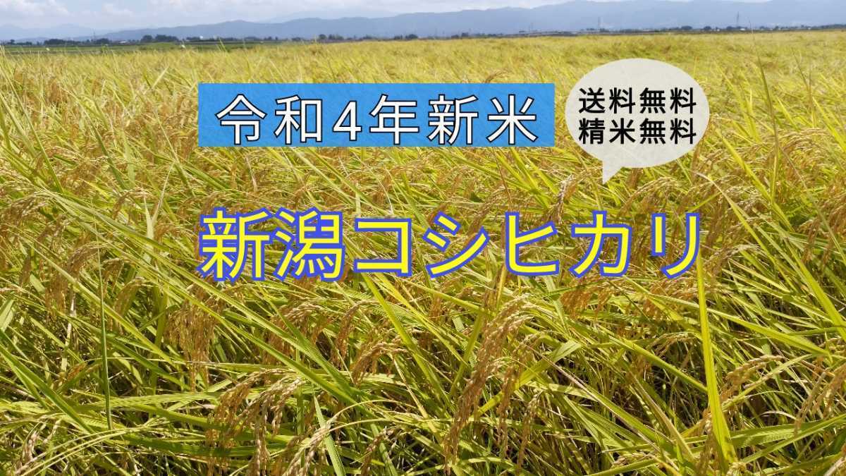 ご注文で当日配送 甚右衛門のこだわり農法コシヒカリ玄米30kg 2022年