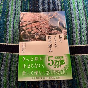 桜のような僕の恋人 （集英社文庫　う２３－２） 宇山佳佑／著