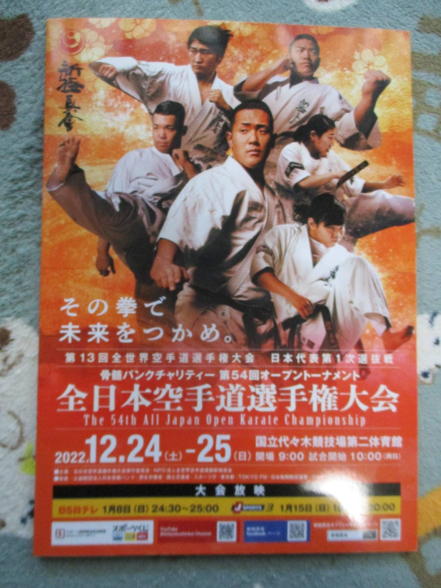 ヤフオク! -新極真会の中古品・新品・未使用品一覧