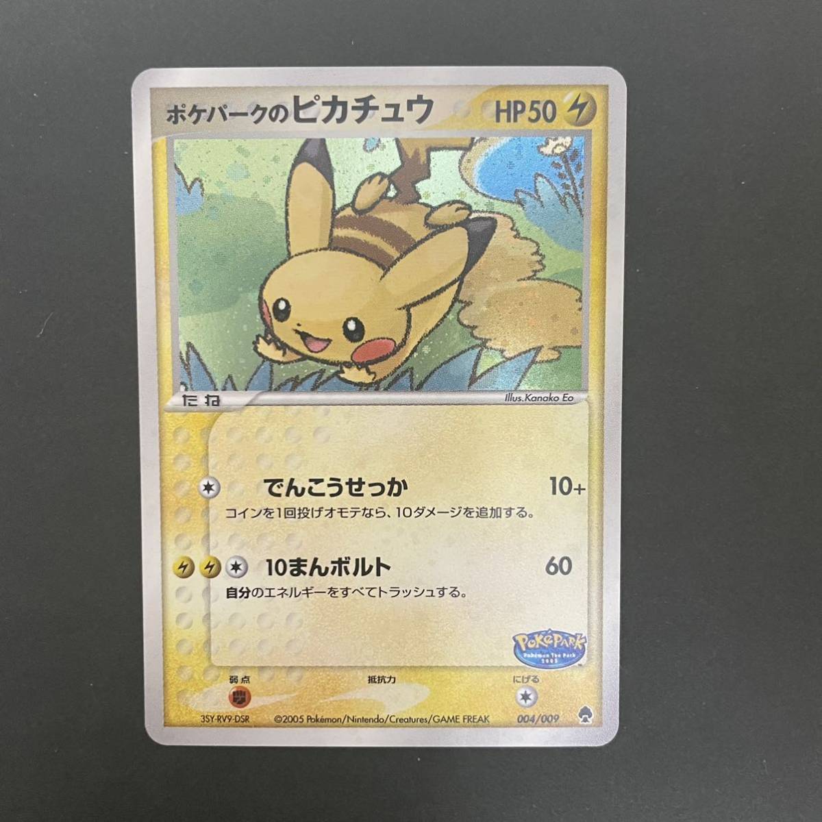 未使用ポケパーク限定 フォレストシート