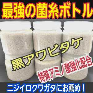 極上！黒アワビタケ菌糸瓶　500ml ニジイロクワガタにお薦め！オオクワ、ヒラタの初令、2令にも最適なボトルサイズ！特殊アミノ酸強化配合