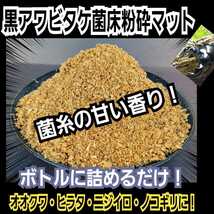 黒アワビタケ菌床粉砕クワガタマット　ボトルに詰めるだけ！クヌギ100％原料使用　オオクワガタ・ヒラタ・ニジイロ・ノコギリ系にお薦め_画像1