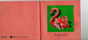 C7644 Б/у CD + DVD Yonezu Genshi flamingo / TEENAGE RIOT 2 диска