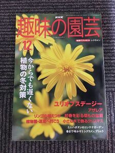 NHK 趣味の園芸 2003年12月号 / 植物の冬対策、ユリオプスデージー、アザレア