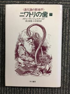 　ニワトリの歯(下) 進化論の新地平／スティーヴン・ジェイ・グールド(著)，渡辺政隆(訳)，三中信宏(訳)