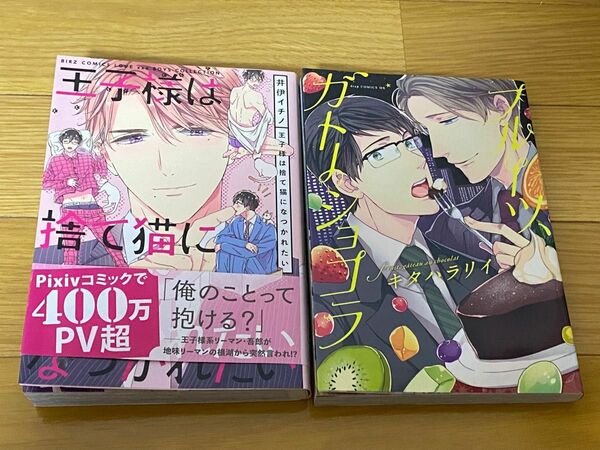 【BL429】王子様は捨て猫になつかれたい 井伊イチノ フルーツ、ガトーショコラ/キタハラリイ