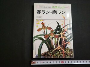 n★　NHK趣味の園芸：作業12か月　春ラン・寒ラン　黒崎陽人・著　昭和60年第21刷発行　日本放送出版協会　/B20