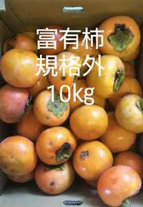 富有柿　規格外10キロ　福岡県産