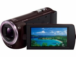 SONY デジタルHDビデオカメラレコーダー「HDR-CX390」(ボルドーブラウン) H(中古品)
