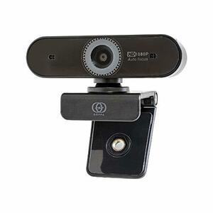 GOPPA GP-UCAM2FA full HD correspondence auto focus 200 ten thousand pixels WEB camera ( secondhand goods )