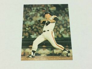 カルビー プロ野球カード 77年 ジャイアンツ選手カード 90 張本勲/巨人