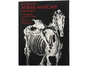 洋書◆動物の解剖図 画集 本 筋肉と骨のデッサン 作品集