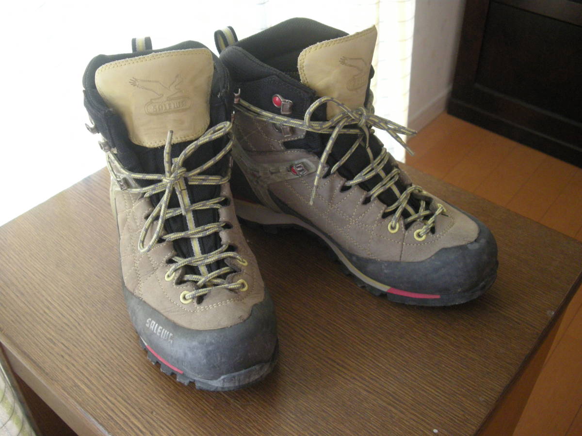 SALEWA サレワ MS VULTUR VERTICAL GTX(ヴァルチャーヴァーティカル