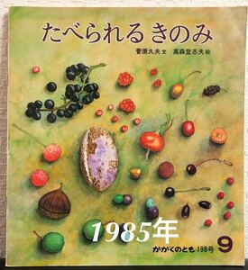 ◆当時物◆希少本「たべられるきのみ」かがくのとも　福音館　1985年　レトロ絵本