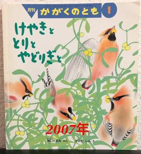 ◆当時物◆「けやきととりとやどりぎと」かがくのとも　福音館2007年　澤口たまみ　かみやしん　希少本