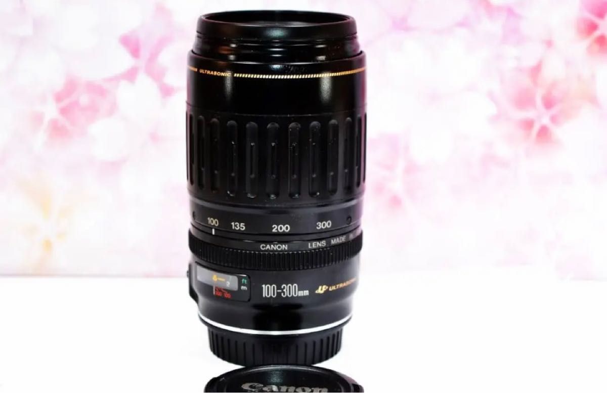 Canon キヤノン 望遠レンズ 100-300mm 迫力の300㎜ LENS｜Yahoo!フリマ