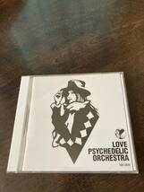 407 LOVE PSYCHEDELICO / Love Psychedelic Orchestra_画像1