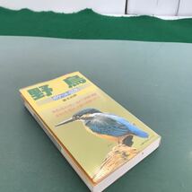 D63-165 野鳥　野鳥200種の特徴、見分け方、鳴き声　ポケット図鑑　藤本和典　主婦の友社　複数書込み有り_画像2