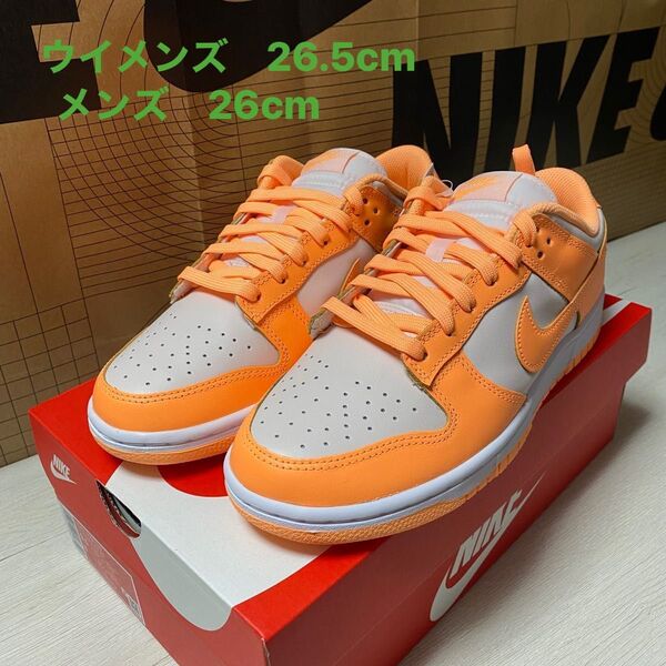 W NIKE DUNK LOW ナイキダンクLOW