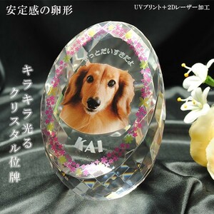 かわいいクリスタルペット位牌【ピュアラブ　エッグ　サイズC】【UV＋２Dレーザー】犬の位牌　猫の位牌　ペット供養