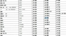 JA-150 石川島 パワーショベル 014S 015S 3AB1 の一部 ユニオン製 品番要確認 エアーエレメント エアーフィルター 産業機械用_画像5