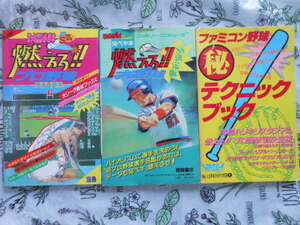  burn . Professional Baseball 88 decision version .pekibook@..... comics + complete certainly .book@ fly te- special + Famicom baseball . technique book 