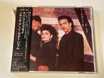 中古CD★リサリサ・アンド・カルト・ジャム/アウパニッシュ・フライ★国内盤★フル・フォースProd._画像1