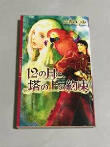 同梱可！　六青みつみ 『 12の月と塔の上の約束 』【2212】