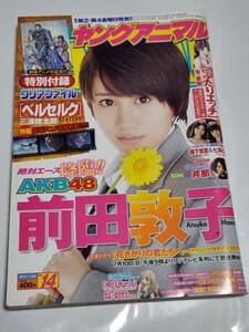 ２５　１１　NO.14　ヤングアニマル　前田敦子　森下悠里　七海なな　芹那