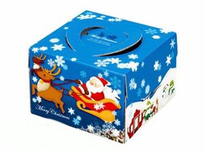 デコ箱 5号 デコレーションケーキBOX クリスマスケーキケース／ブルーフライト サンタクロース