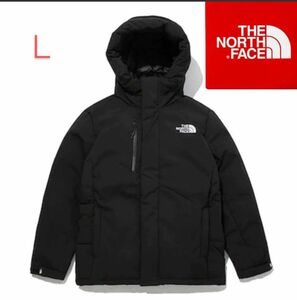 【新品未使用】THE NORTH FACE ザノースフェイス　エクスプローリング　ダウン　L