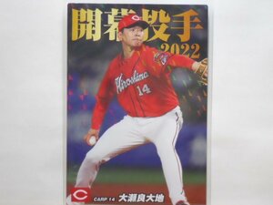 カルビー　プロ野球カード　2022第2弾　大瀬良　大地（広島）