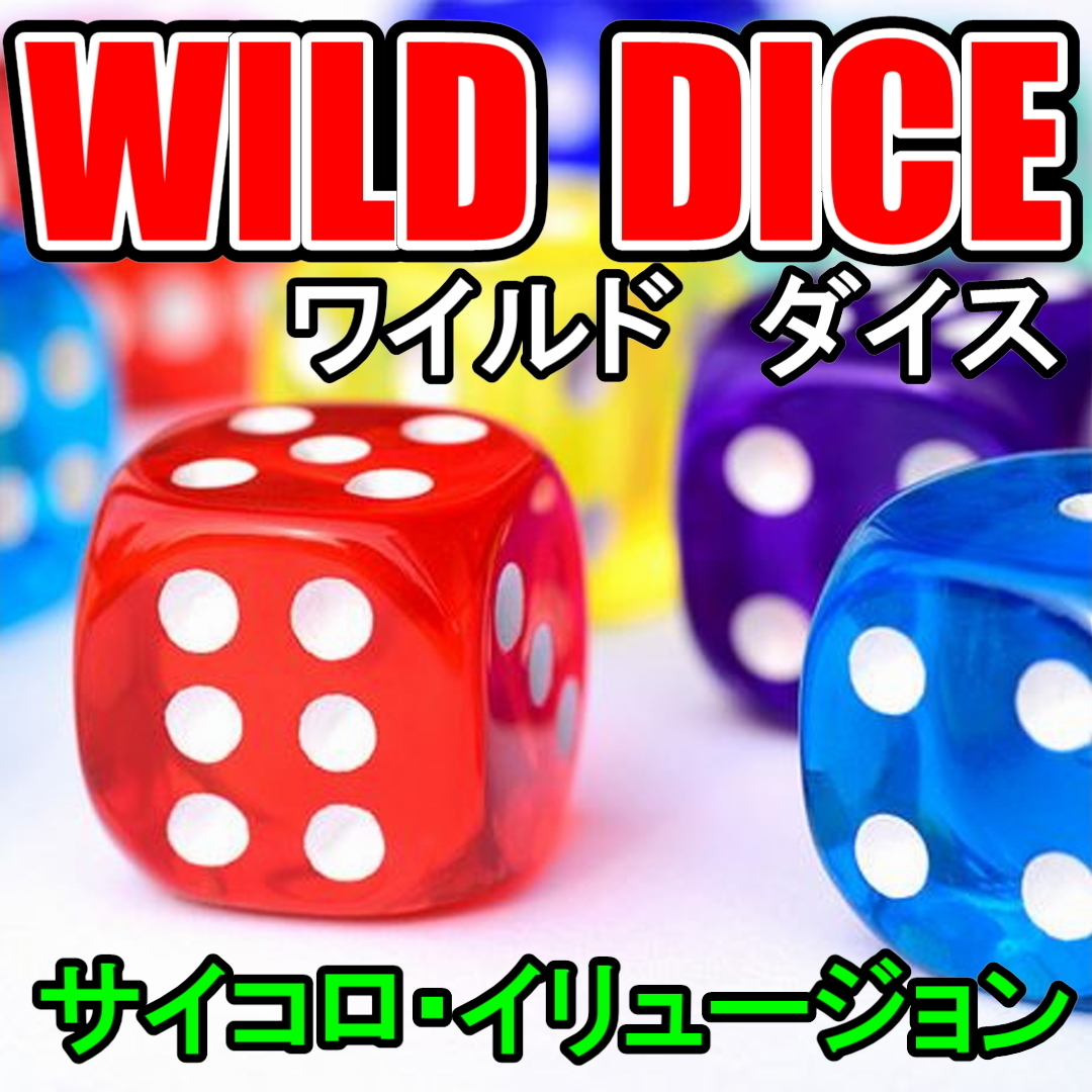 61%OFF!】 手品 パーフェクトカジノダイス V2 クリア仕様 hine.co.jp