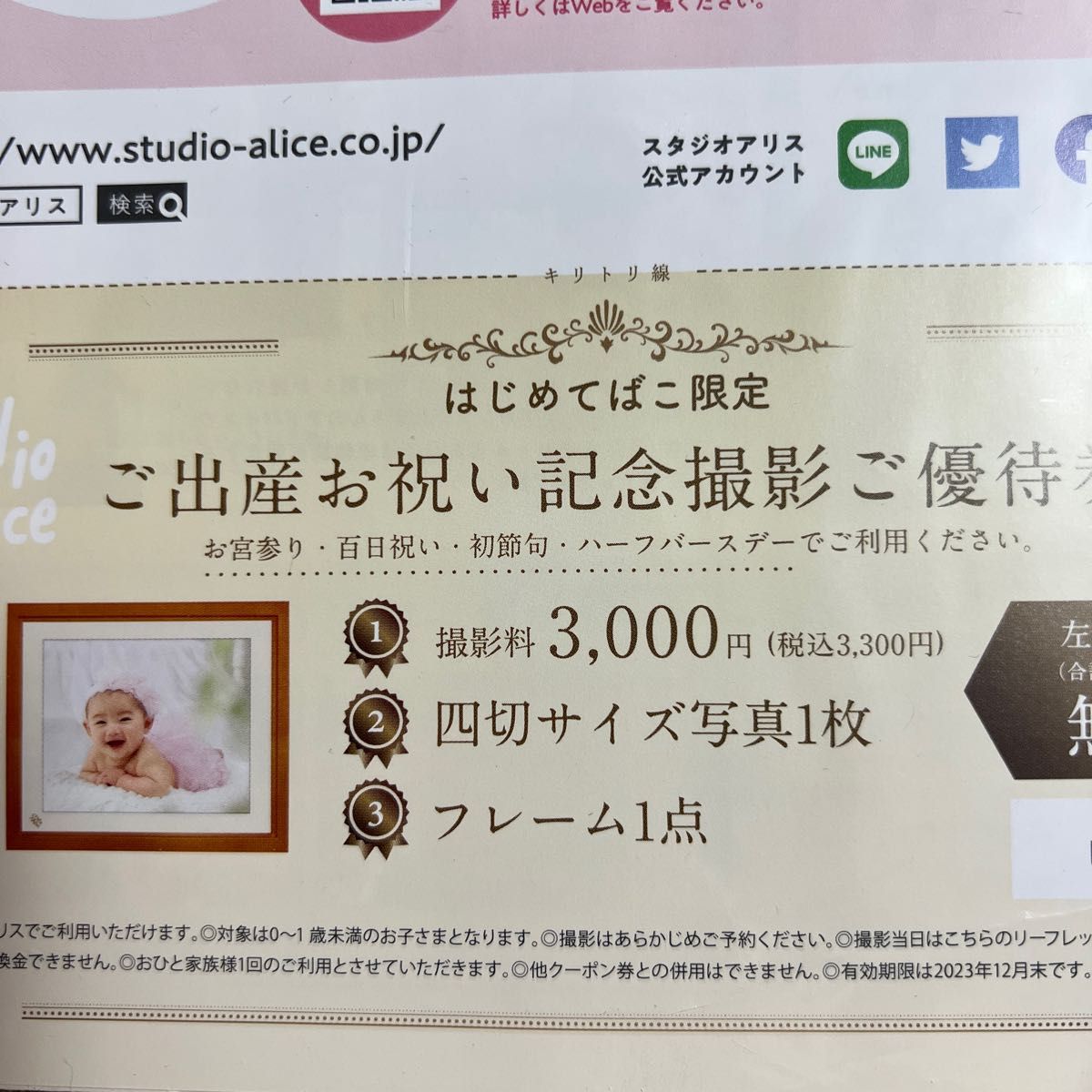 当社の スタジオアリス 撮影ご優待券 フォトパネシンプル 半切 3