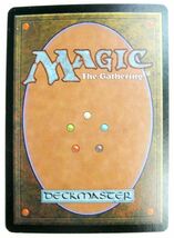 マジック・ザ。ギャザリング MTG 【Foil】USG版《森/Forest》[アリーナ] 土地 EN 英語版 ホイル 送料無料　即決＃017(0)_画像2