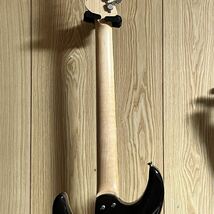 6月３日まで10％限定値下げ / SCHECTER シェクター SD-2-24-BW-HSH_画像7