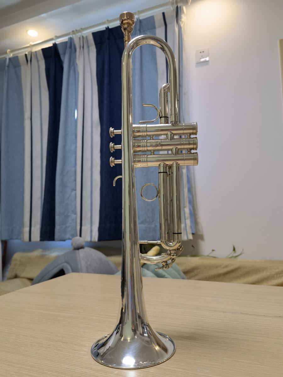 BiRd専用SELMER セルマー トランペット用 3way セミハードケース-