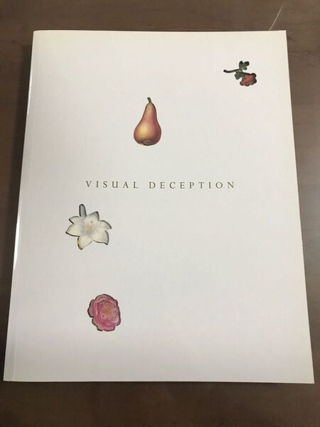 図録 だまし絵 VISUAL DECEPTION 古典 マグリットエッシャー現代