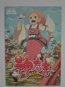 パチスロ小冊子　神たま　みこしちゃん奮闘編