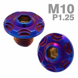 ミラーホールキャップ 正ネジ 逆ネジ M10×10mm P1.25 2個セット デザインヘッド 焼きチタンカラー TH0643