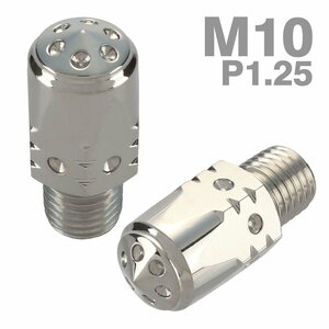 ミラーホールキャップ 正ネジ M10×10mm P1.25 2個セット サイドホールヘッド シルバー TH0632