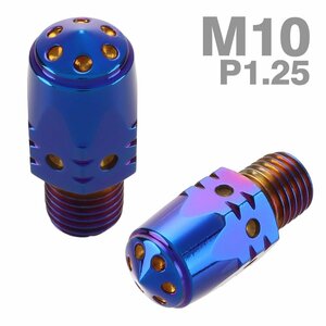 ミラーホールキャップ 正ネジ M10×10mm P1.25 2個セット サイドホールヘッド 焼きチタンカラー TH0634