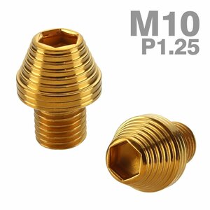 ミラーホールキャップ 正ネジ M10×10mm P1.25 2個セット シェルヘッド ゴールド TH0602